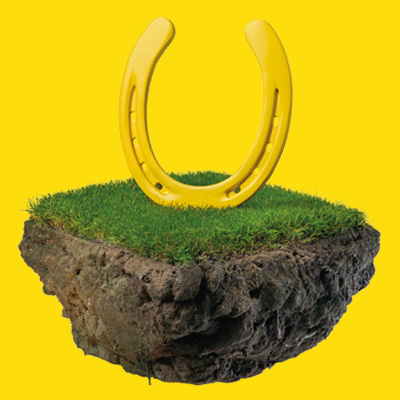 Paarden