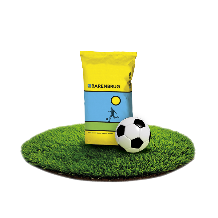 Barenbrug verkooppunten sportgras