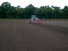Sowing
