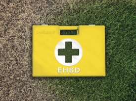 Visual_link_EHBD-grass-900.jpg