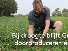 header grasproductie snel op peil na droge periode