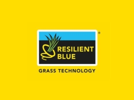 resilient blue logo