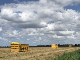Barenbrug containers