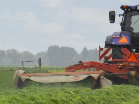 header bonsilage artikel