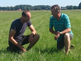 NutriFibre Voedergras bestand tegen droogte