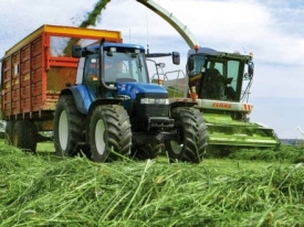 benut je suikerrijke voorjaarsgras optimaal