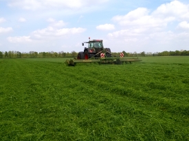 Meer melk door hogere graskwaliteit