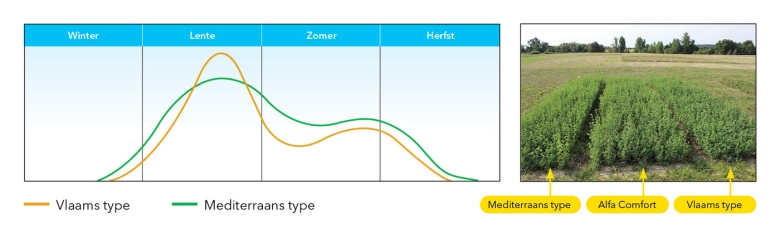 GRAPH_AlfaComfort_Innovatieve_Technologie_NL_2024.jpg