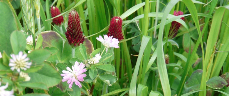 header_protaplus-edit.jpg