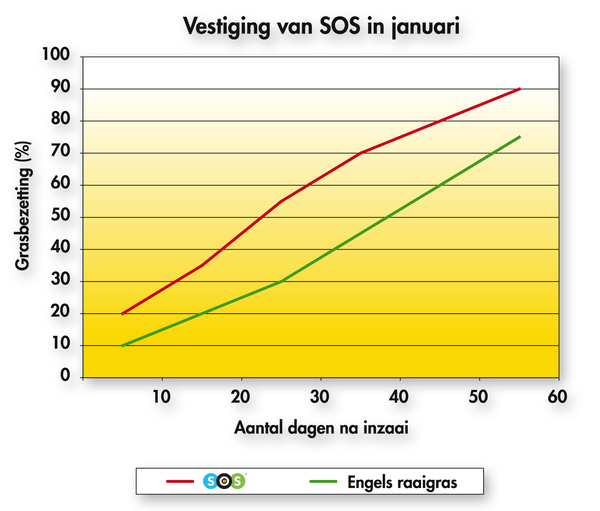 SOS tabel vestiging januari 2024