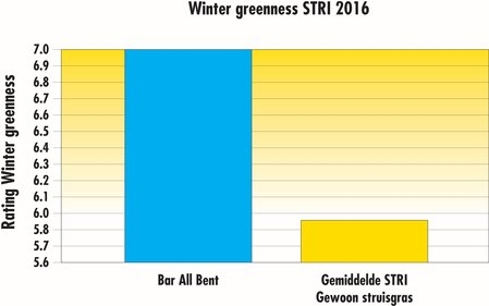 Bar All Bent wintergreenness