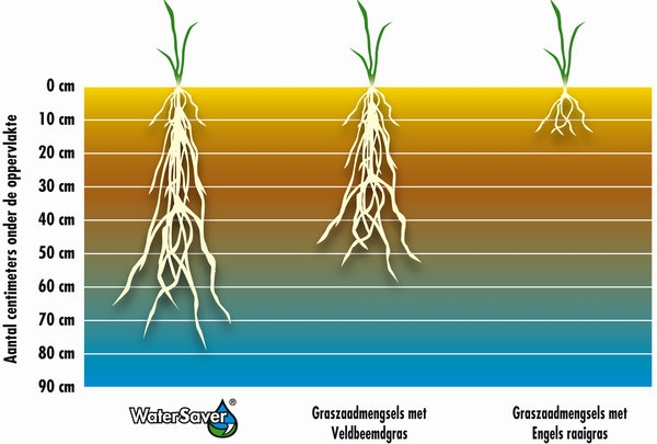 Watersaver diepte worteling grafiek NL