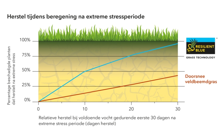 Grafiek_stress_NL-2024.jpg