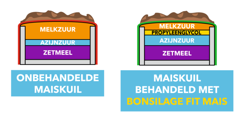 Maiskuilen