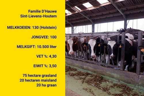 Bedrijfsgegevens familie dhauwe
