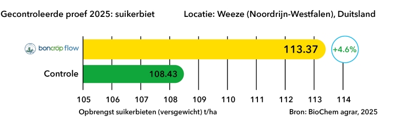 boncrop suikerbiet