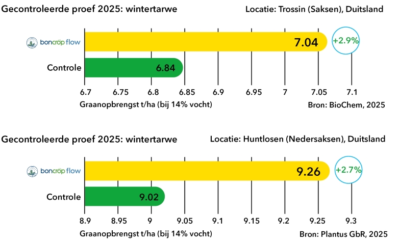 boncrop tarwe