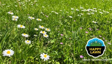 Happy Lawn