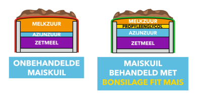 Maiskuilen