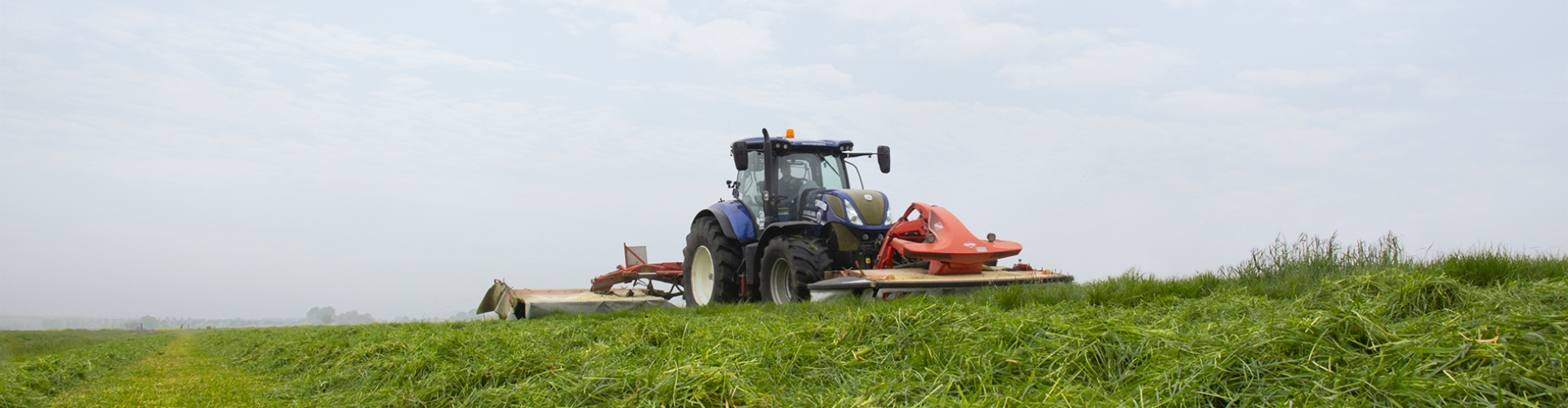 Mowing grassland