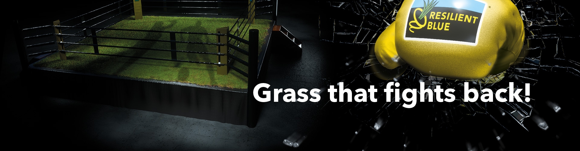 Header-Turf-INT-Resilient-Blue