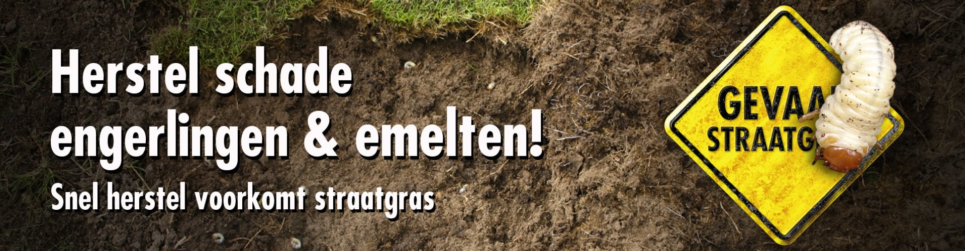 Herstel schade engerlingen & emelten