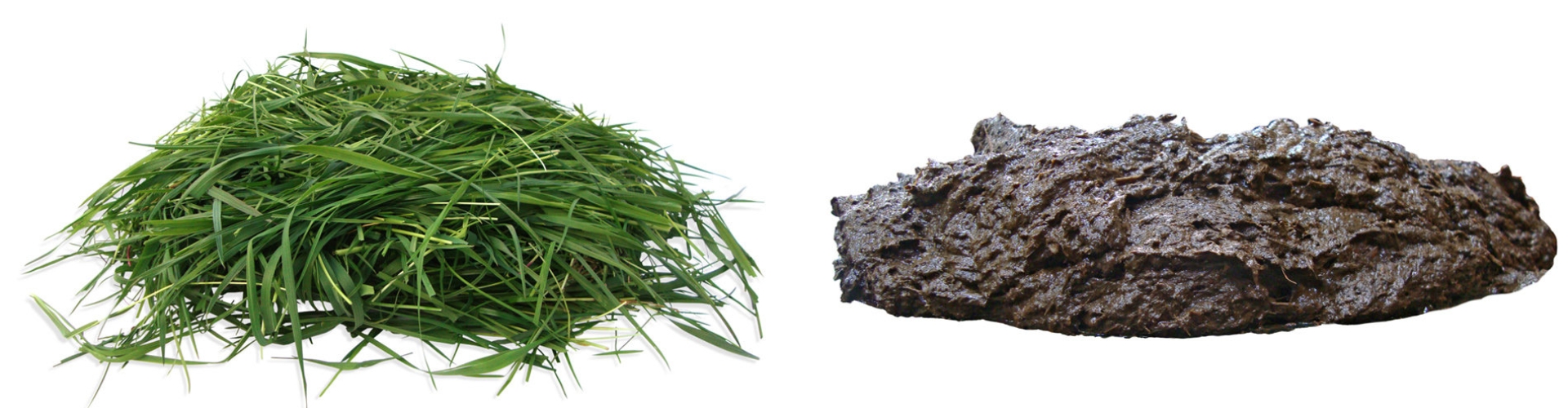 header nutrifiber gras en poep
