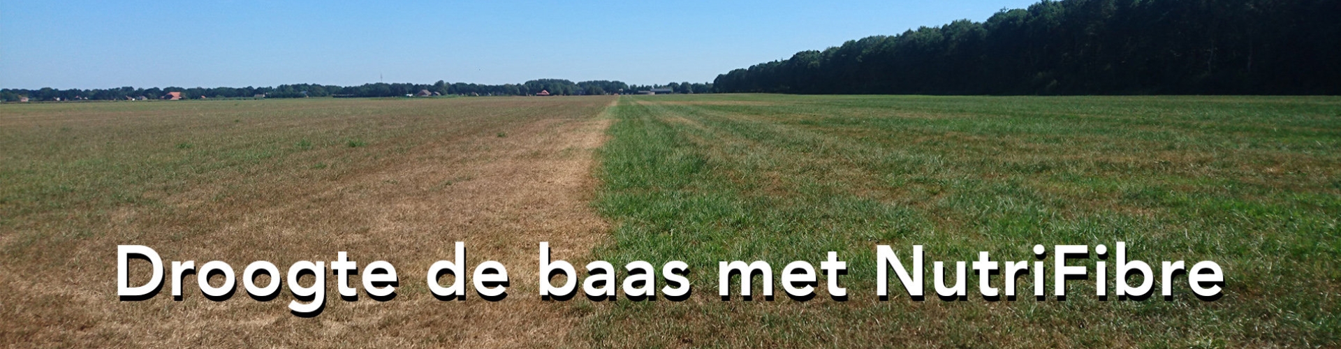 Header droogte of nat
