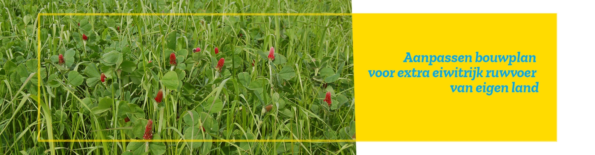 header aanpassen bouwplan