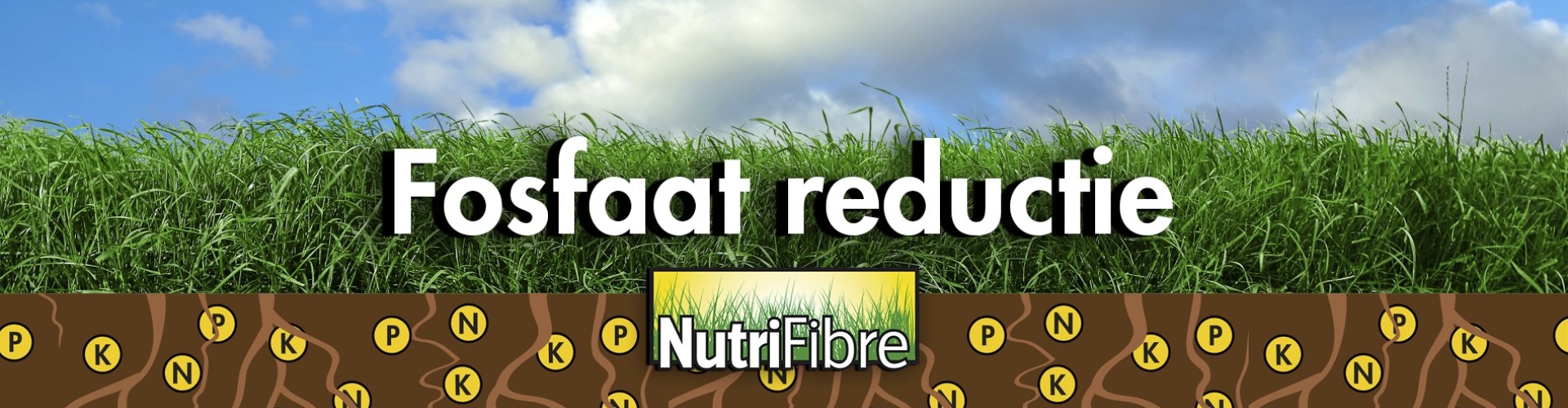 Fosfaat reductie