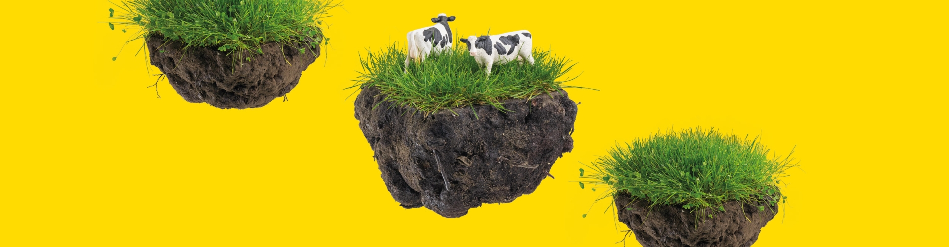 NutriFibre gezonde koeien