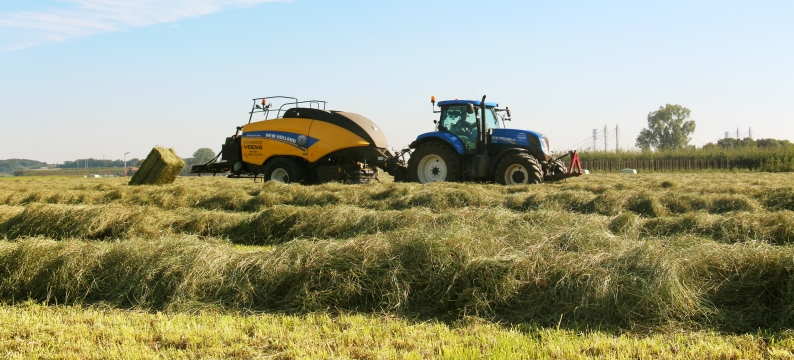 Hay Master