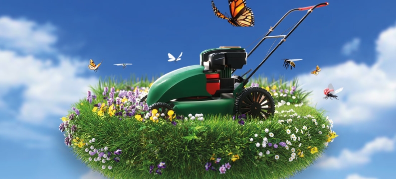 HappyLawn header