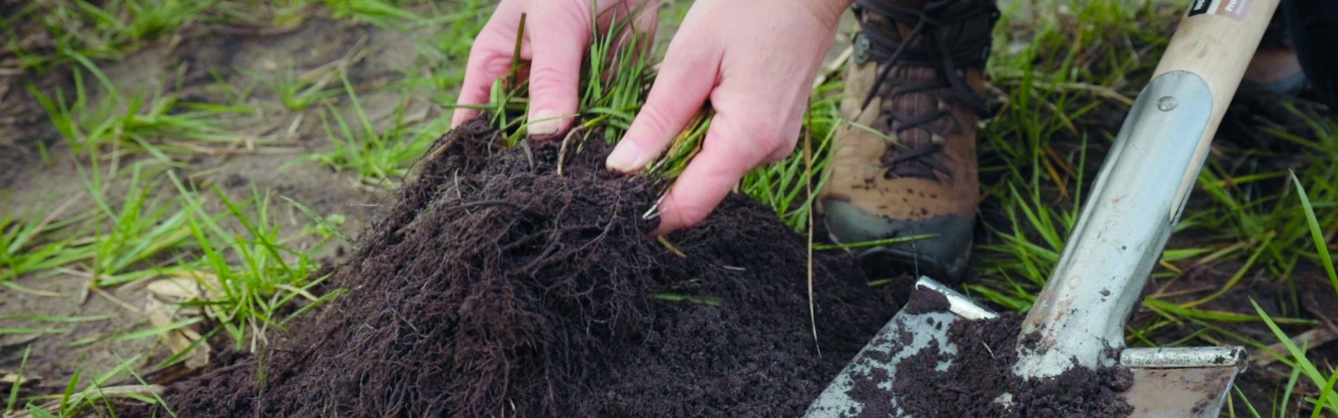 Highest organic matter production with Proterra Maize