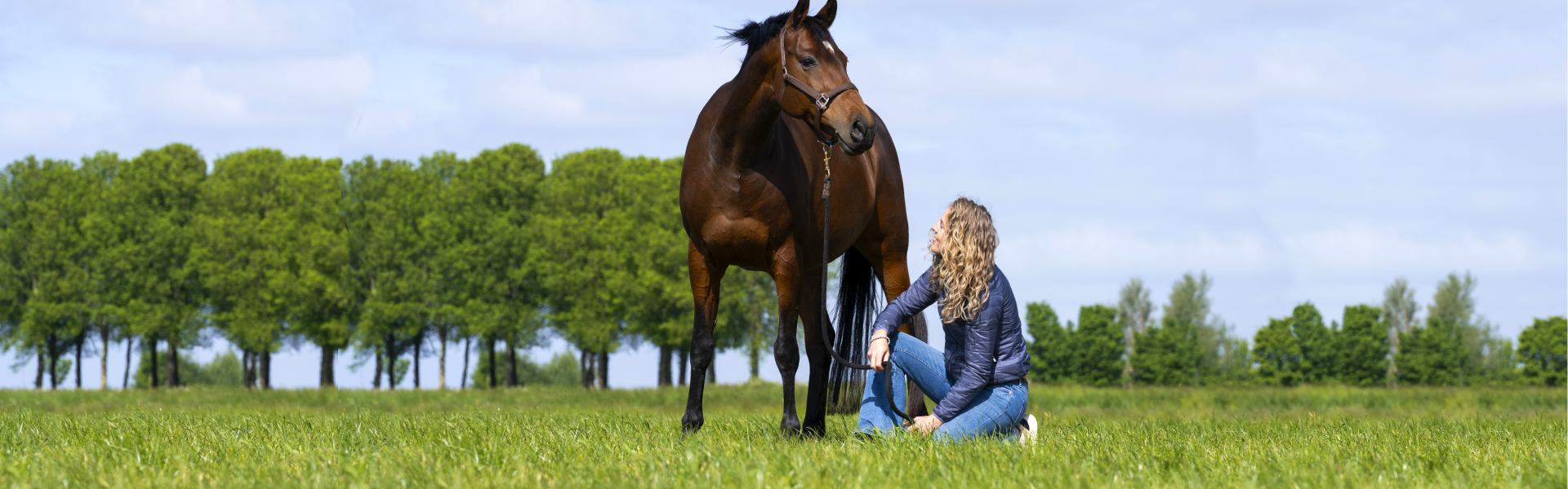 Teelthandleiding Horse Master