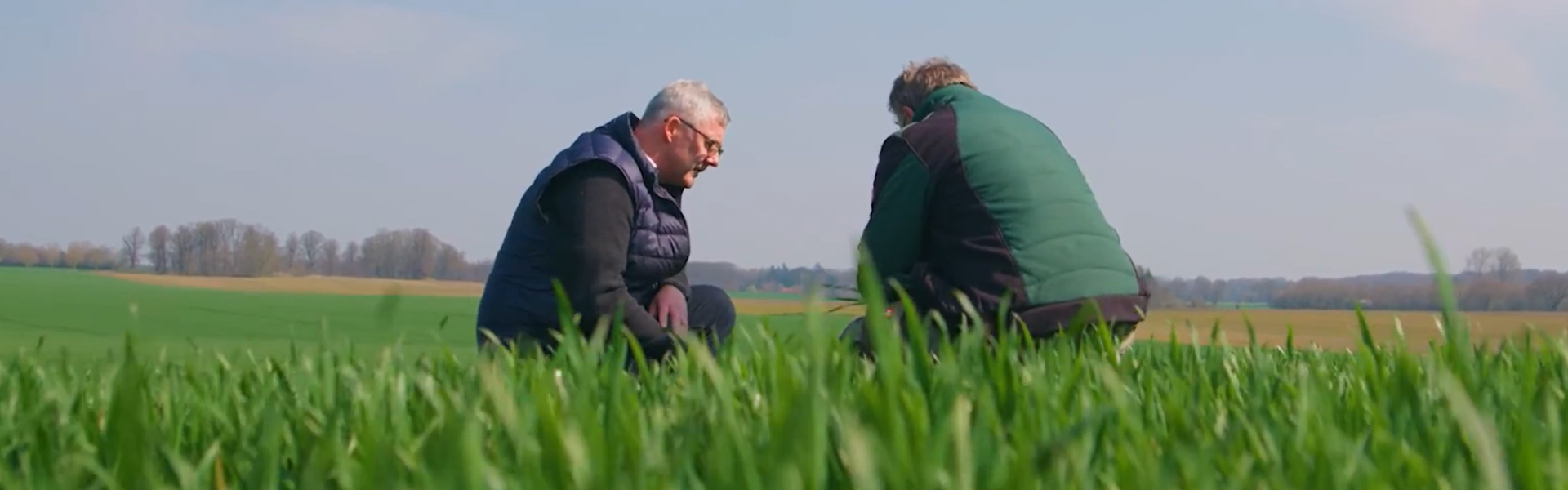 mannen veld boncrop