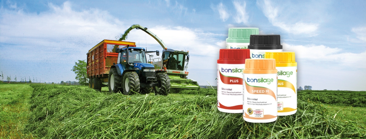 Bonsilage