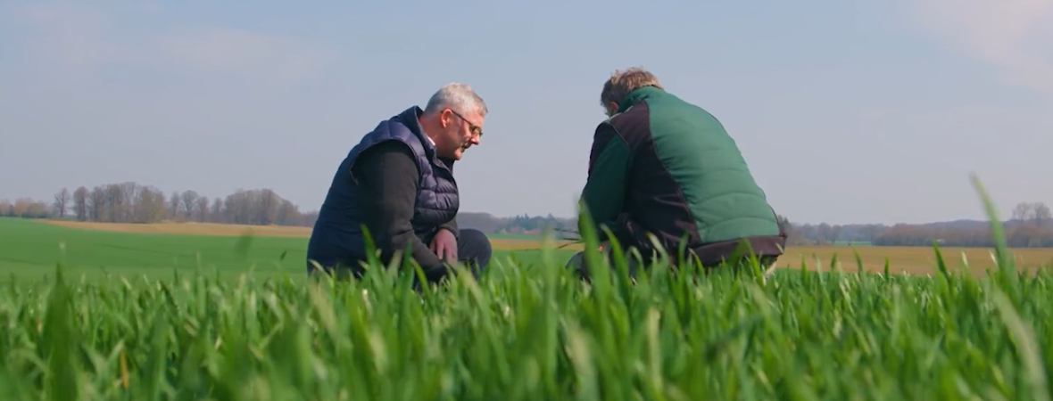 mannen veld boncrop