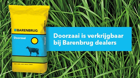 header Doorzaai_2023_2.0.jpg