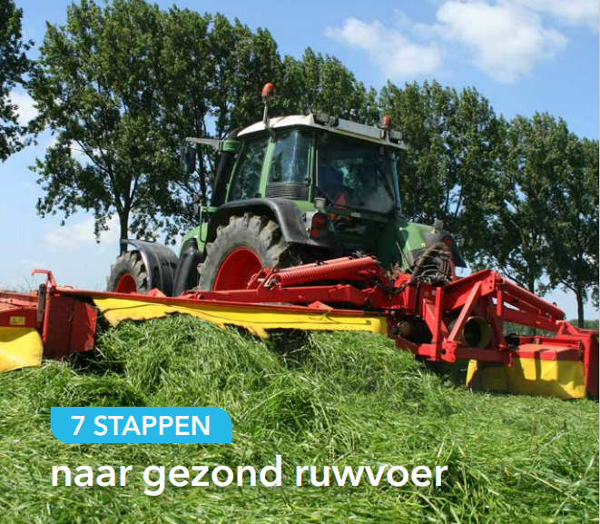 7 stappen naar gezond ruwvoer