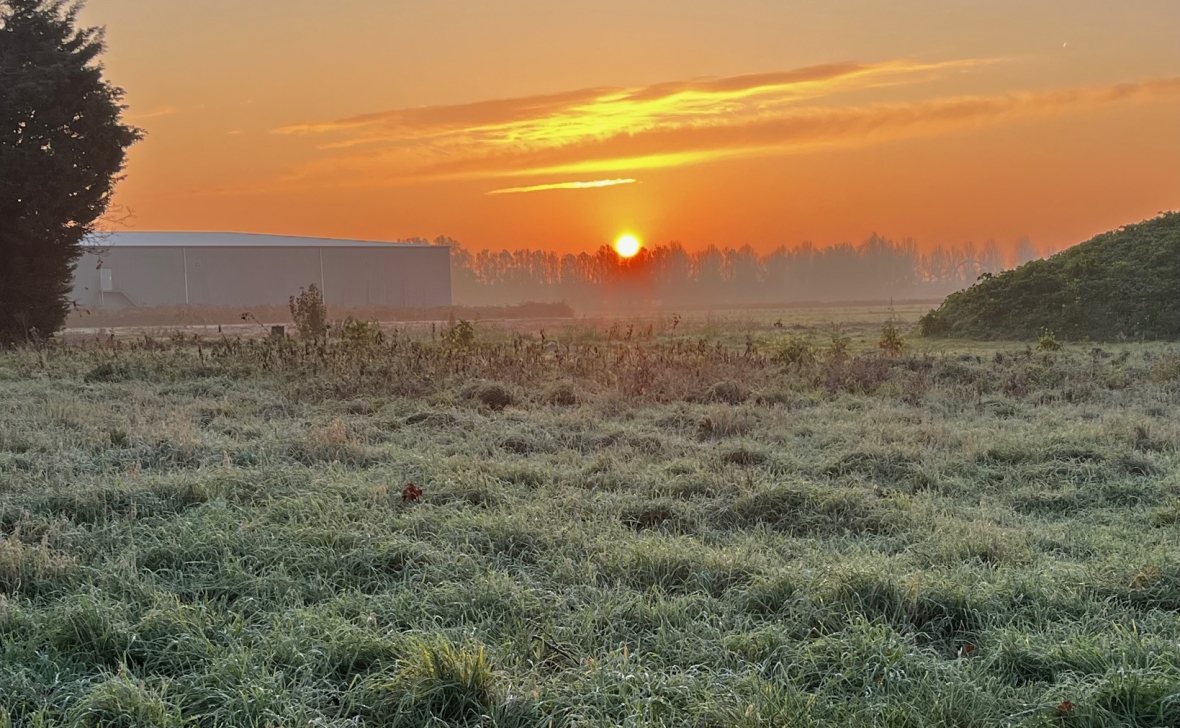 Morgenstond