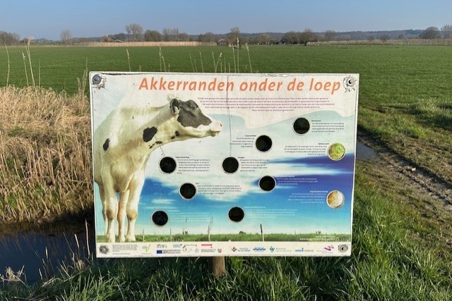 fotowedstrijd