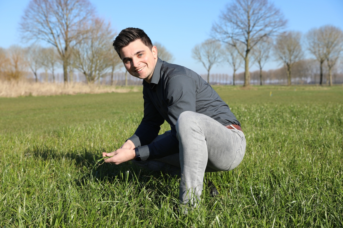 Junior Adviseur