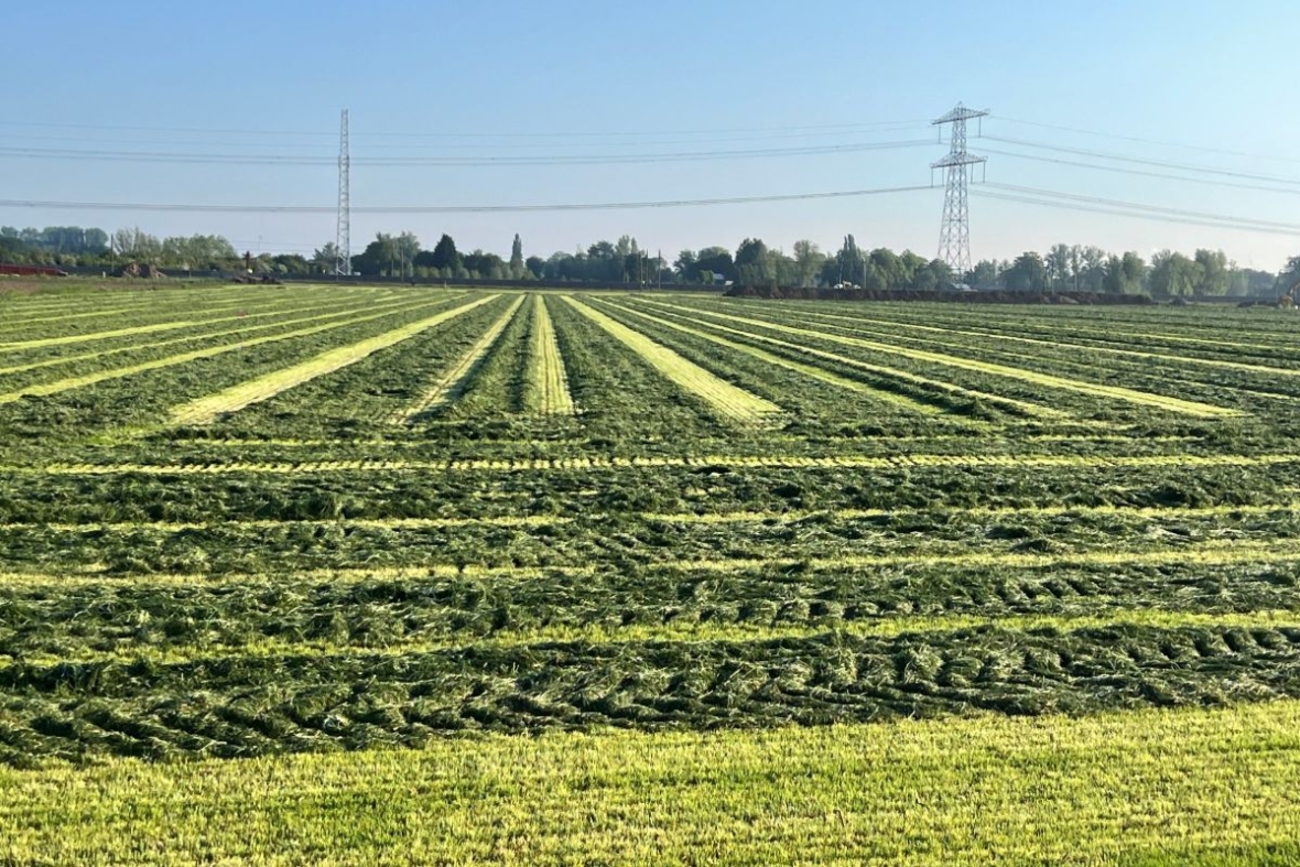 Farming is art!