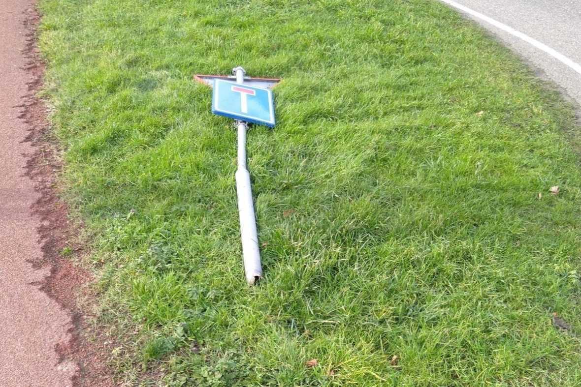 Grass that fights back!