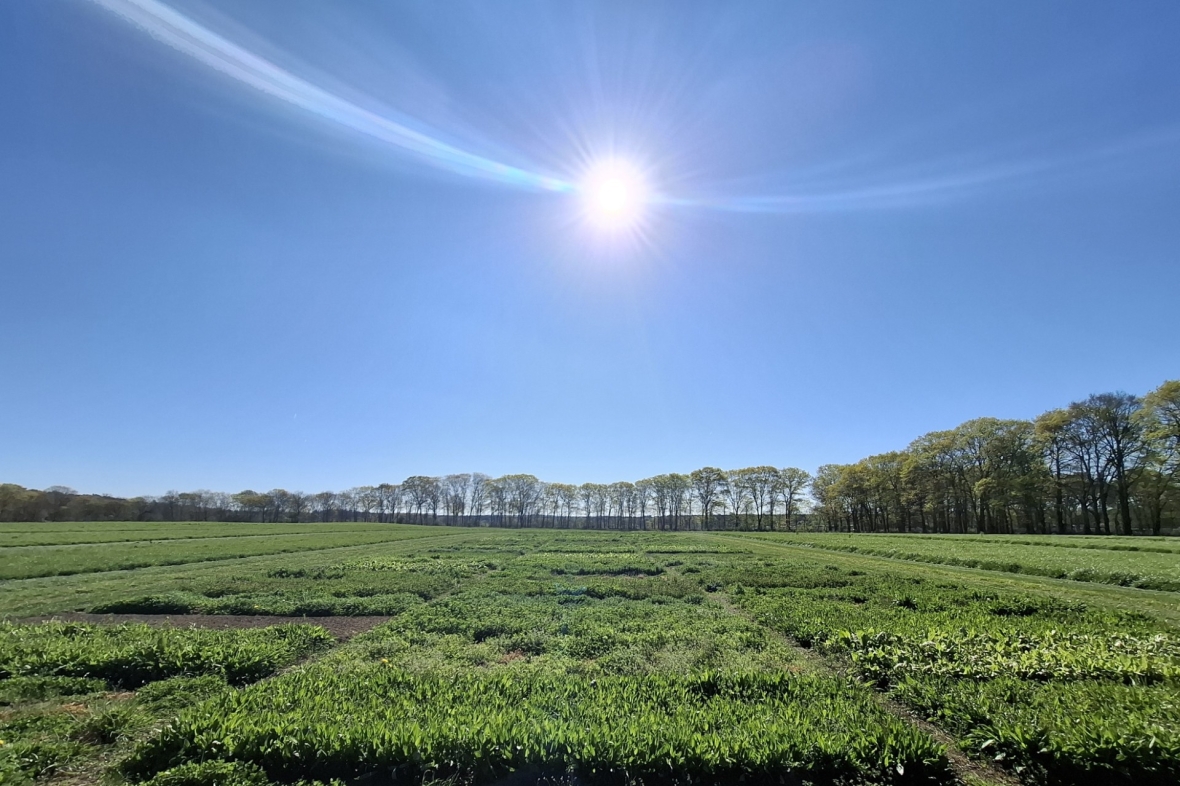 Het groeiseizoen is begonnen, op naar de zon! 