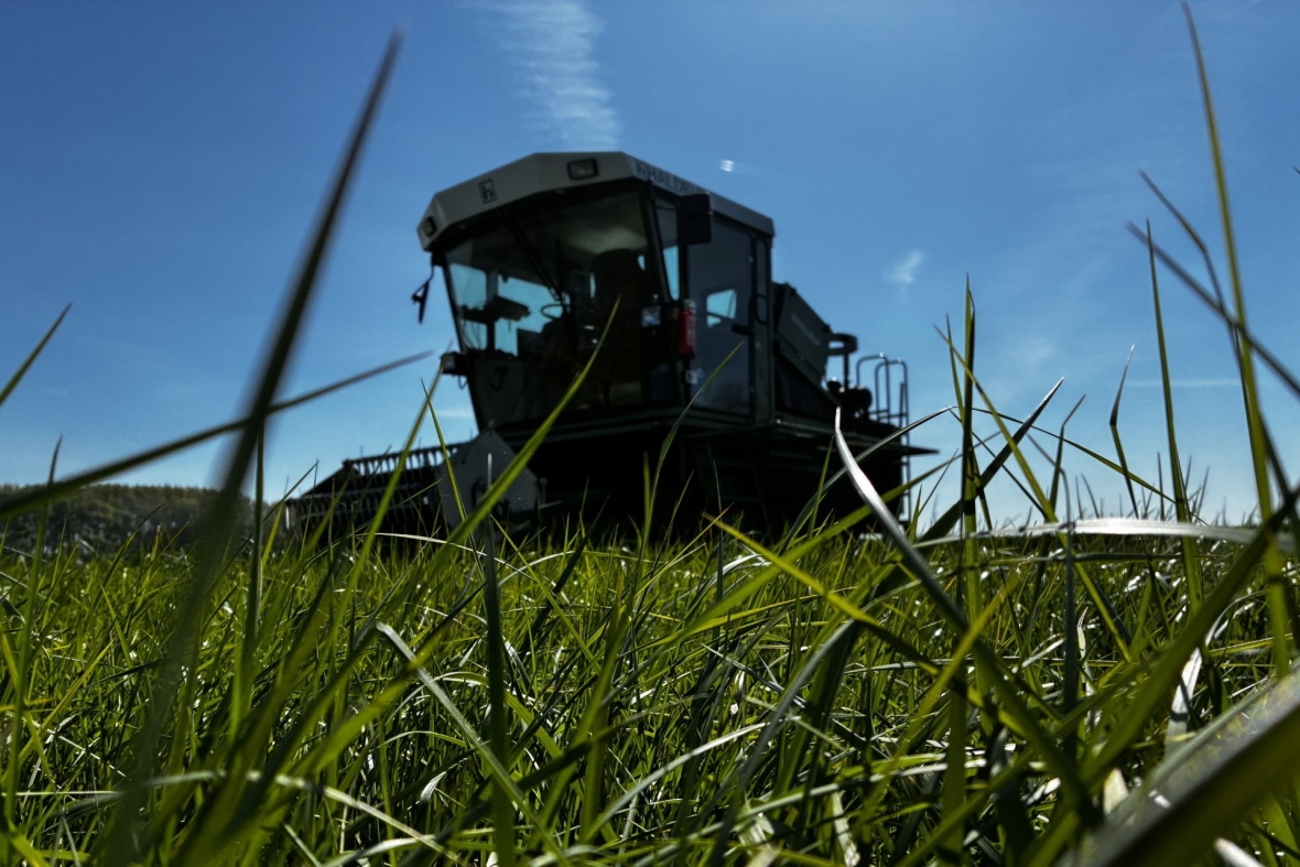 Het verse gras klaar voor de 1ste snede
