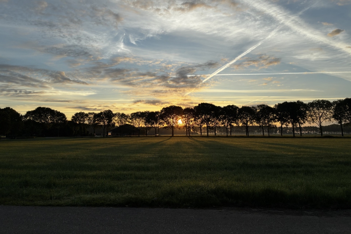 Ochtendzon in Homoet