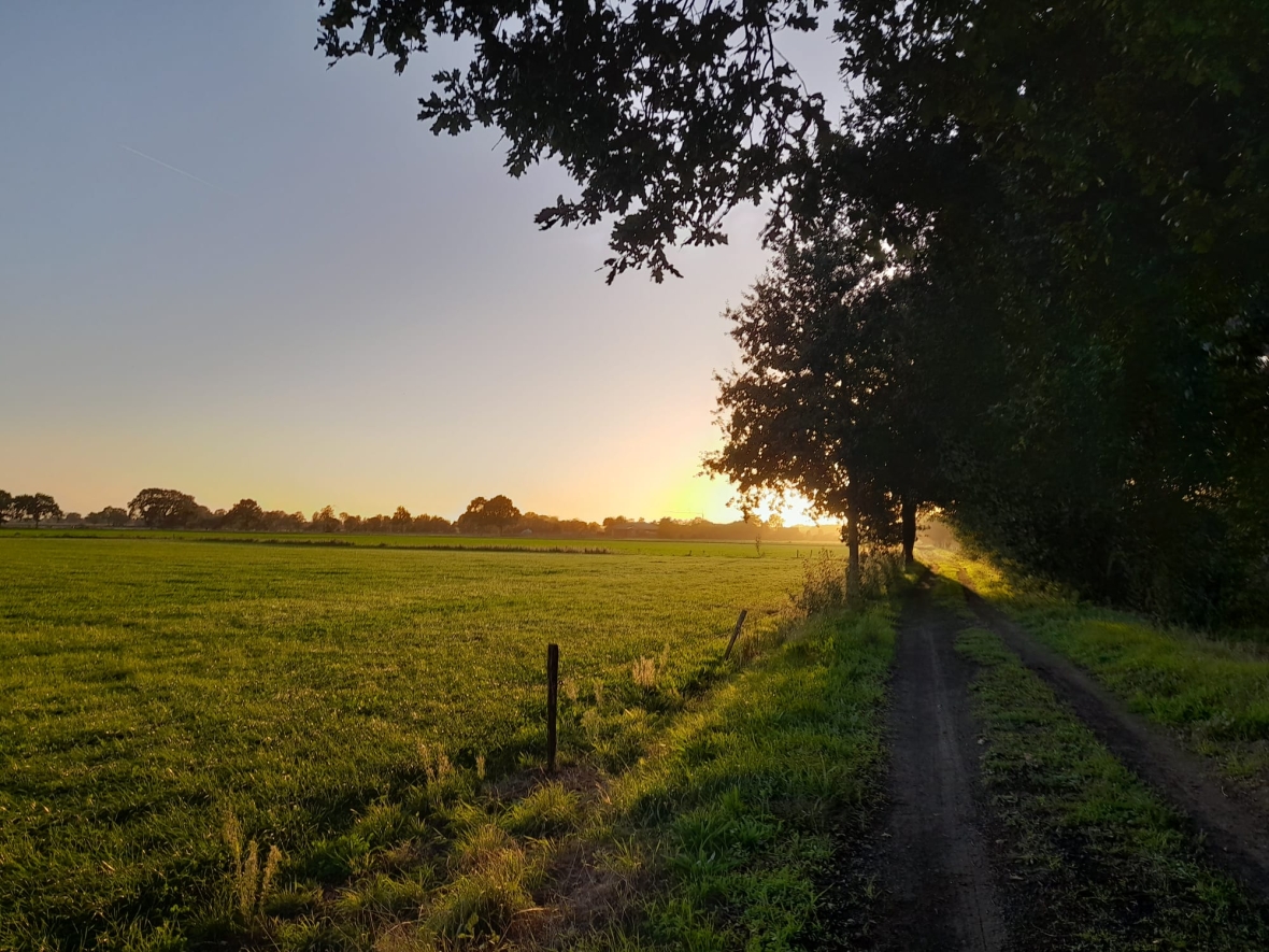 landschap