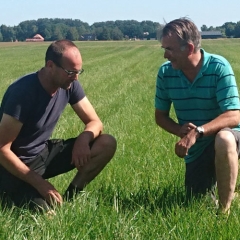 NutriFibre Voedergras bestand tegen droogte